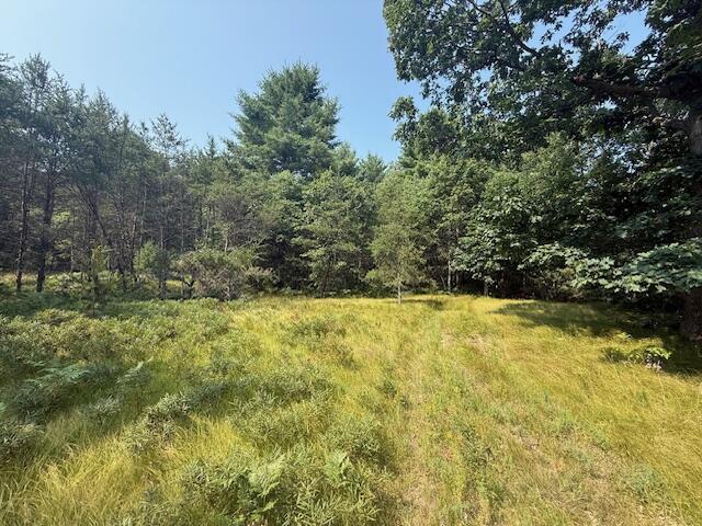 624 West 12th Street Baldwin, MI 49304 - Photo 9 of 17 IMG_1830