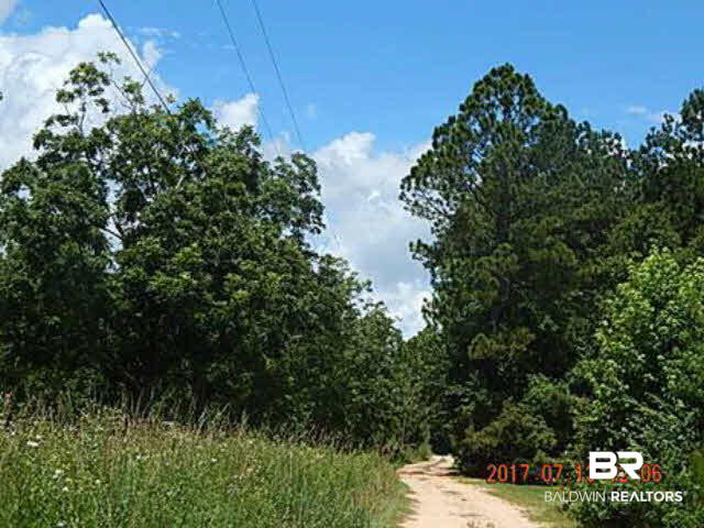 0 Country Squire Lane Stapleton, AL 36578 - Photo 2 of 5