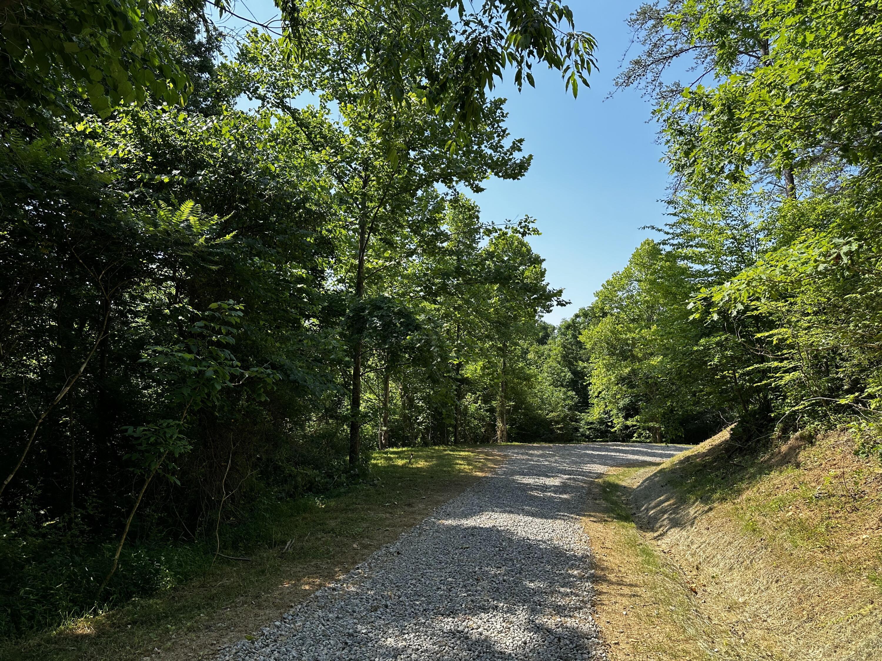 1101 Hull Road, Unit TRACT 9 WOODS WAYNE FOREST) Patriot, OH 45658 - Photo 11 of 61 20240621_144142845_iOS