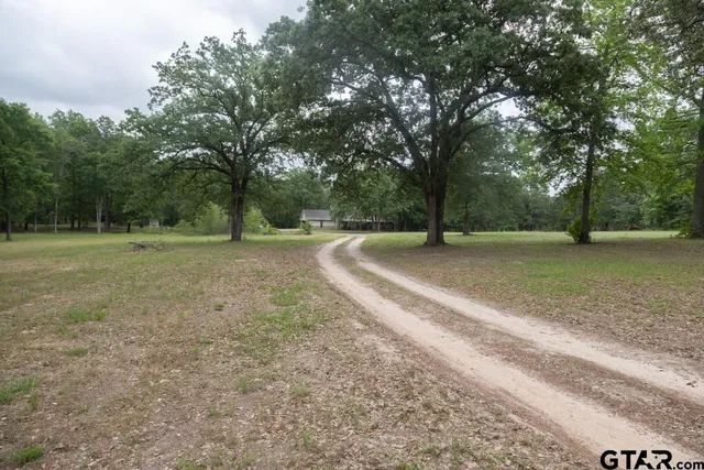 a view of a field with trees in the background