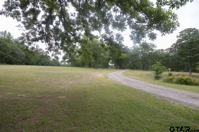 a view of a big yard with large trees