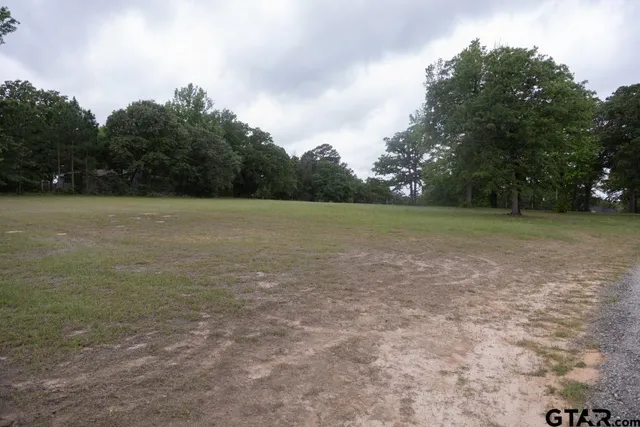 a view of outdoor space with field and trees