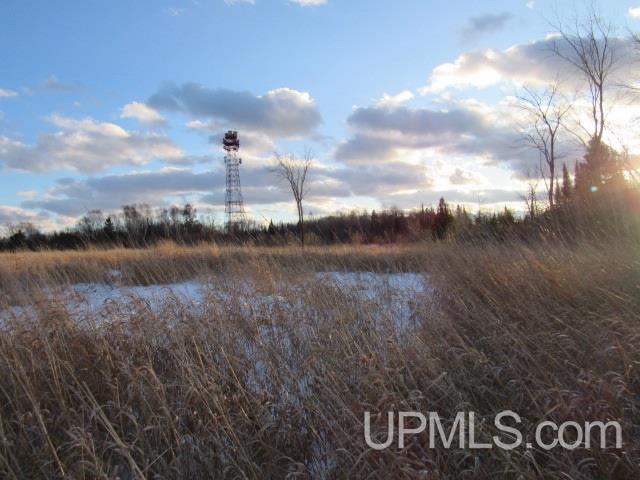 M35 - Tower Road Perkins, MI 49872 - Photo 13 of 15