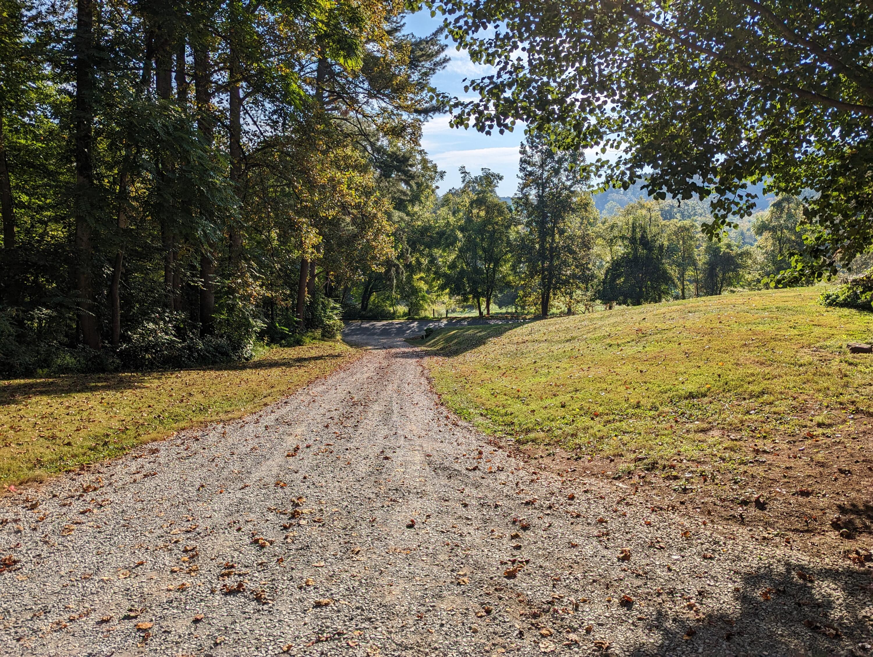 1769 Factory Hill Road Callaway, VA 24067 - Photo 26 of 53 a view of a yard with large trees
