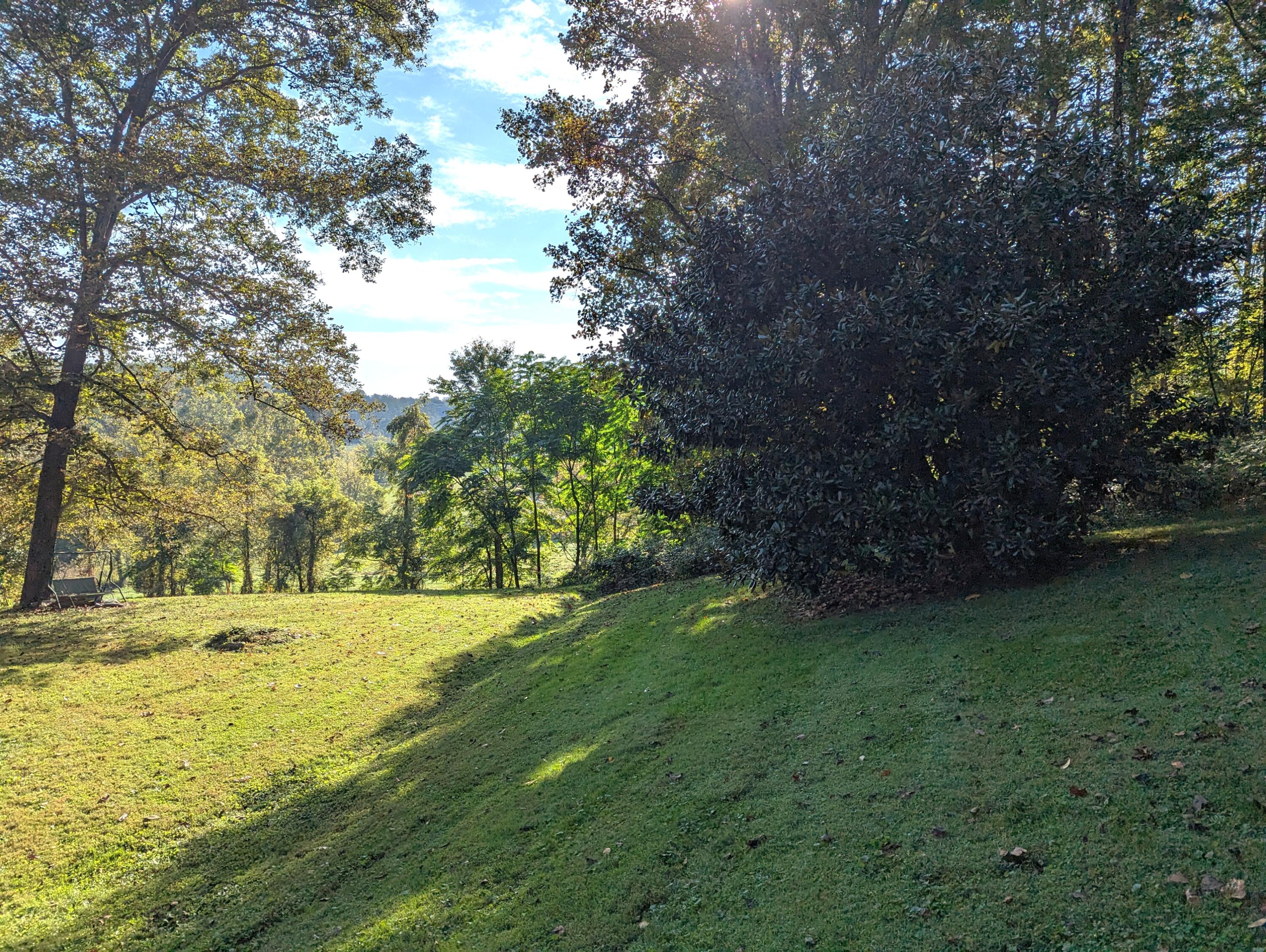 1769 Factory Hill Road Callaway, VA 24067 - Photo 39 of 53 a view of a field with an trees