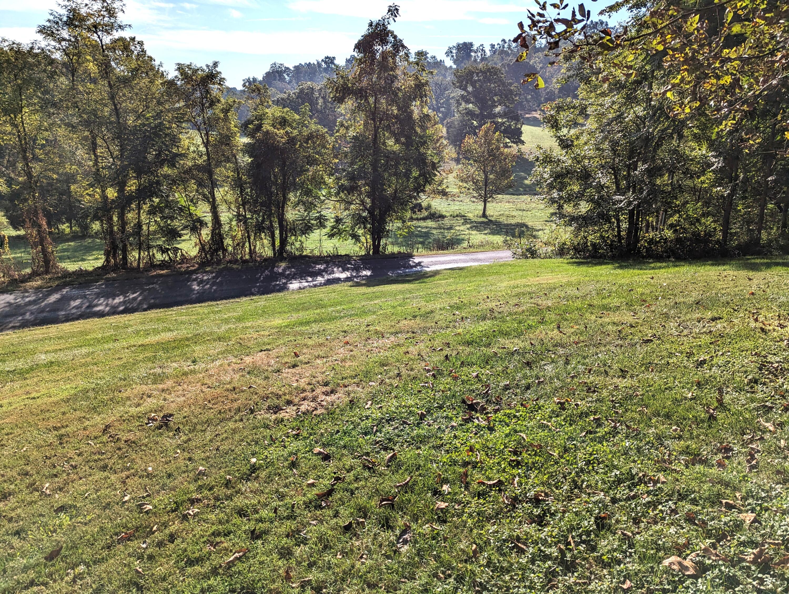1769 Factory Hill Road Callaway, VA 24067 - Photo 47 of 53 a view of yard with tree
