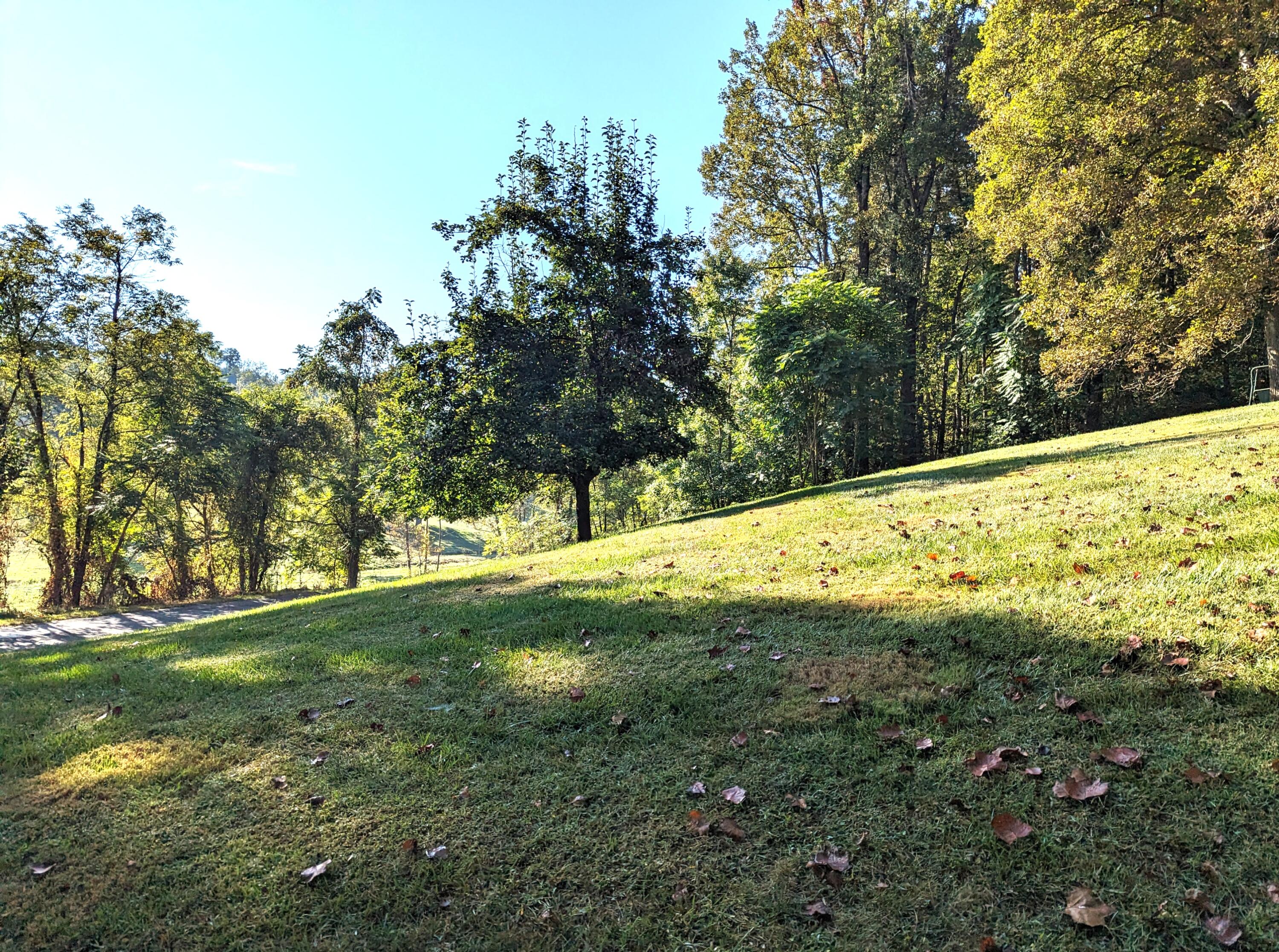 1769 Factory Hill Road Callaway, VA 24067 - Photo 52 of 53 a view of a field with an trees