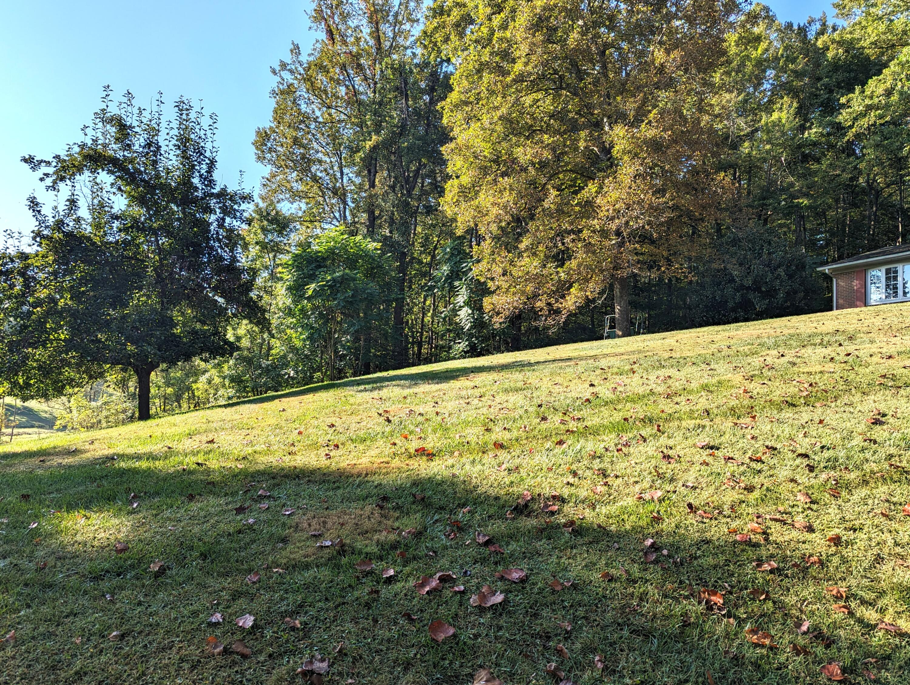 1769 Factory Hill Road Callaway, VA 24067 - Photo 53 of 53 a view of a yard with large trees