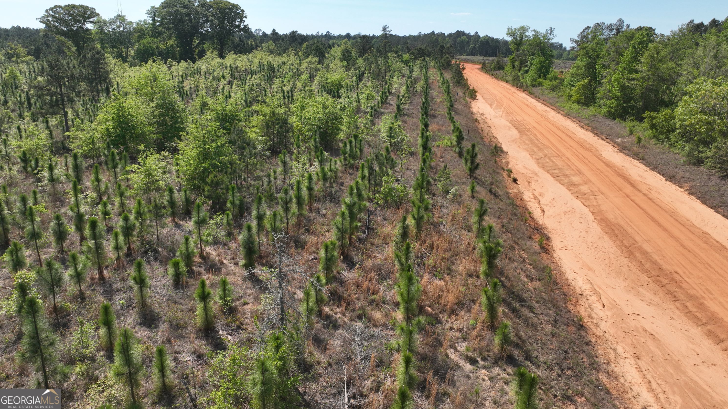 0 Old Warrenton Road Wrens, GA 30833 - Photo 4 of 6