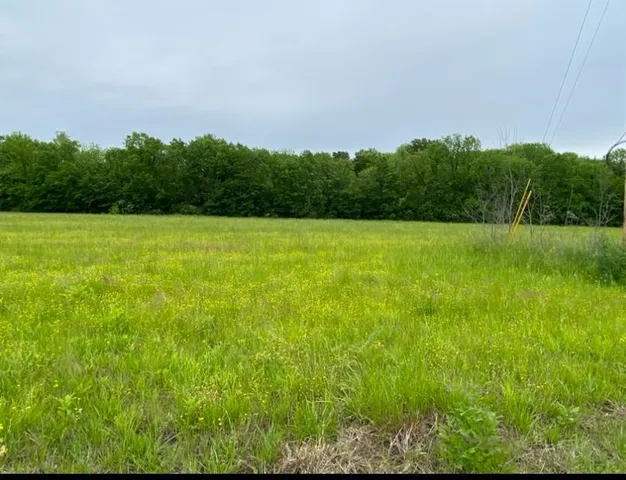 a view of field with trees in the background