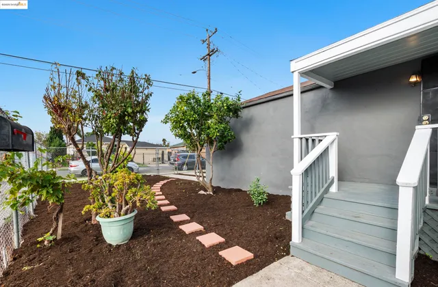 a view of a backyard with plants and potted plants
