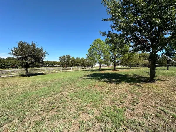 a view of a park with large trees