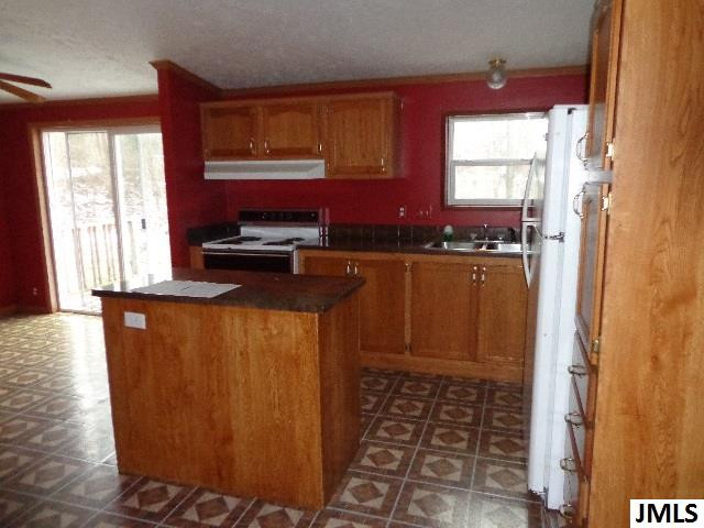 3981 Mc Arthur Road Jackson, MI 49203 - Photo 3 of 15 Photo 3