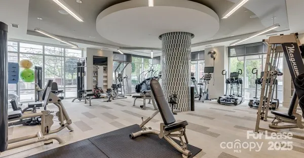 $2,578 | 125 West Tremont Avenue, Unit A1B, Charlotte, NC 28203