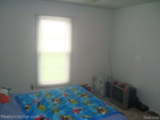 2329 Johnson Mill Road North Branch, MI 48461 - Photo 8 of 15 DSC02055
