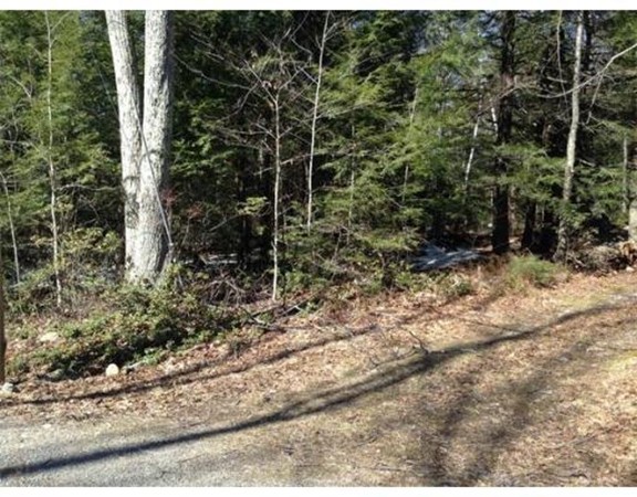 0 Beetle Road Tolland, MA 01034 - Photo 5 of 6 Gallery Image 5