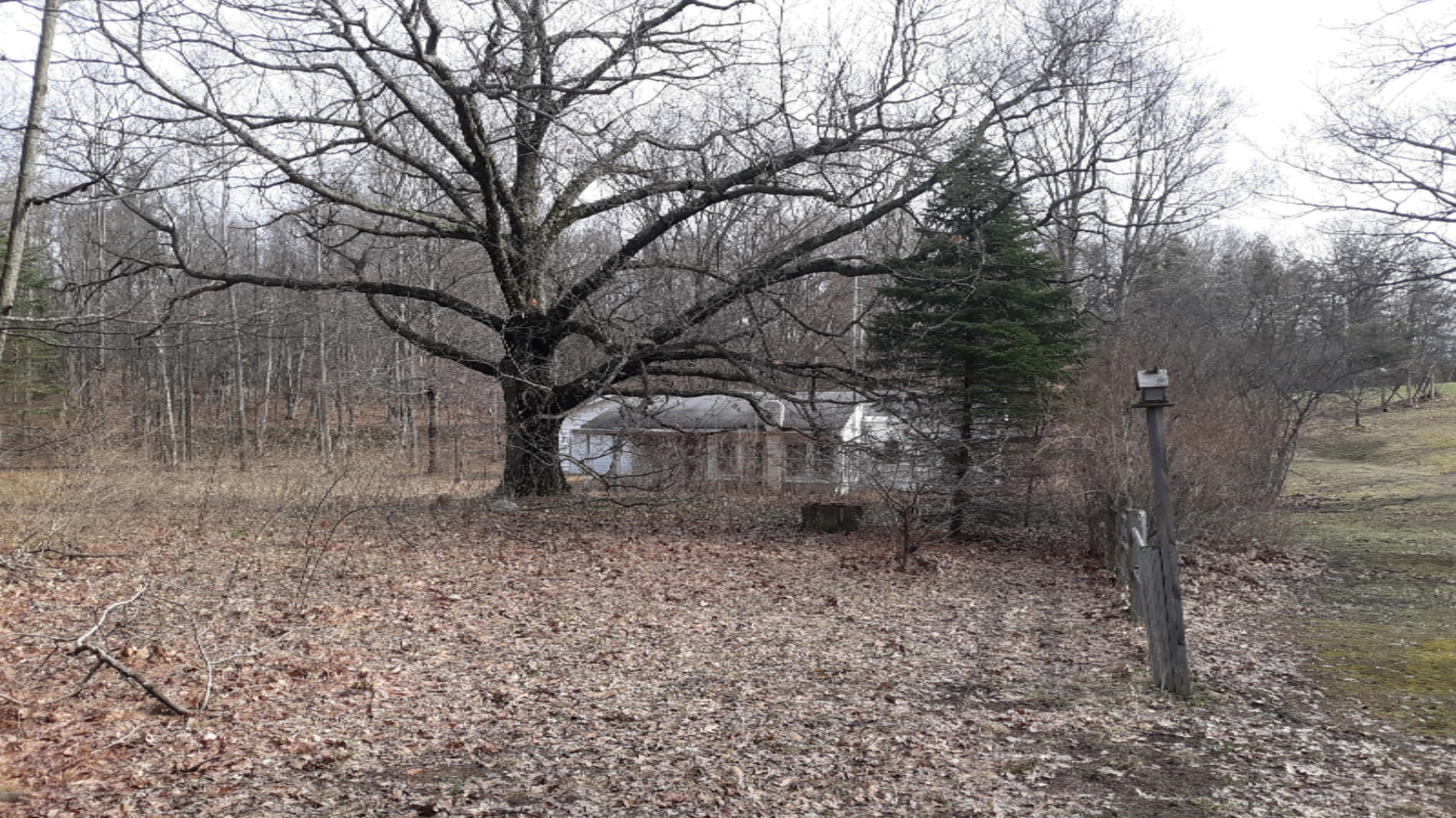 723 West Deer Run Road Free Soil, MI 49411 - Photo 12 of 12 View from river side