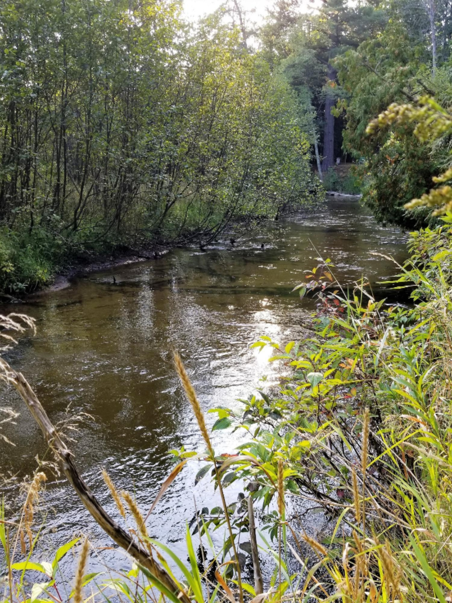 River west