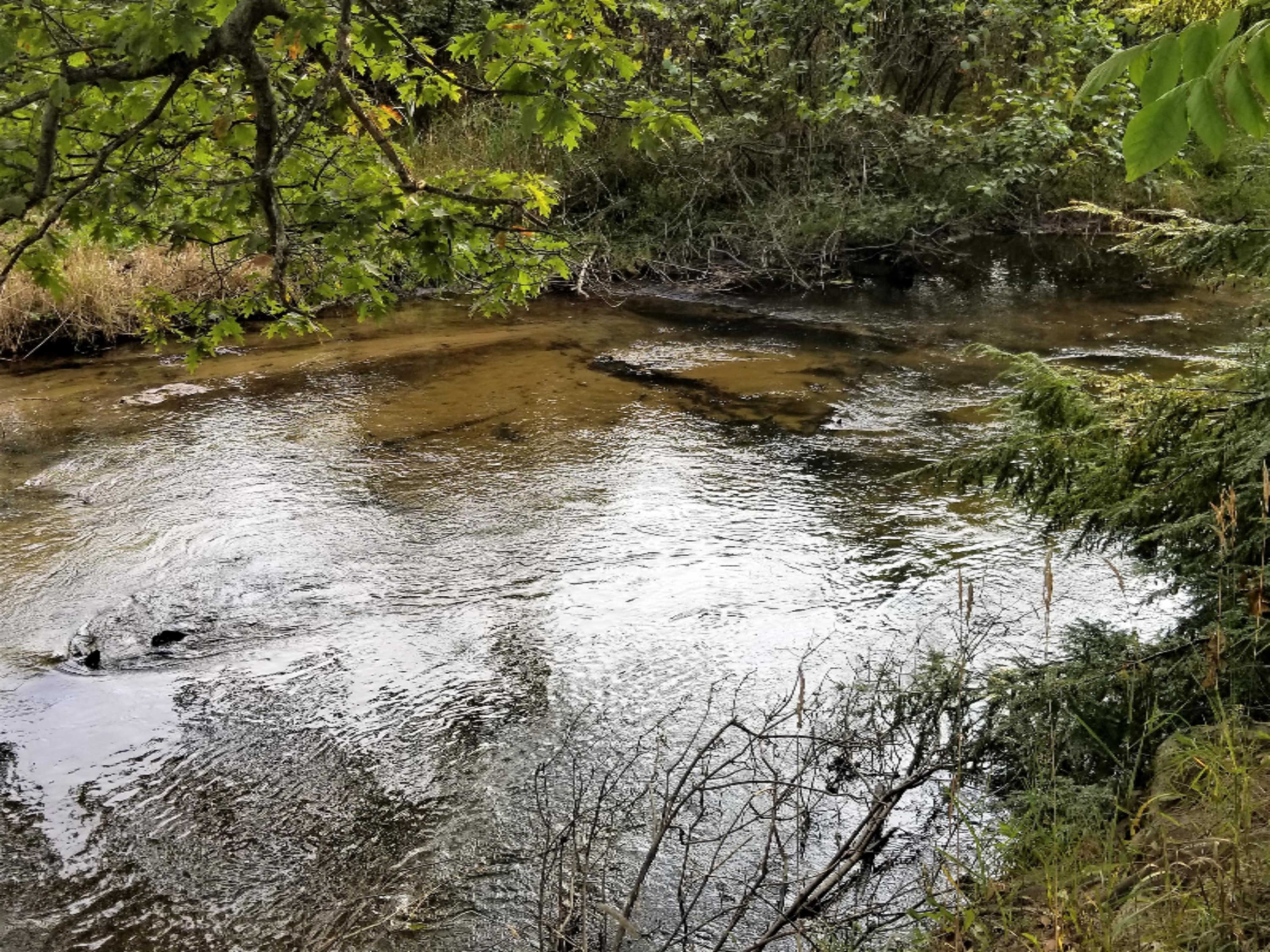 River 2