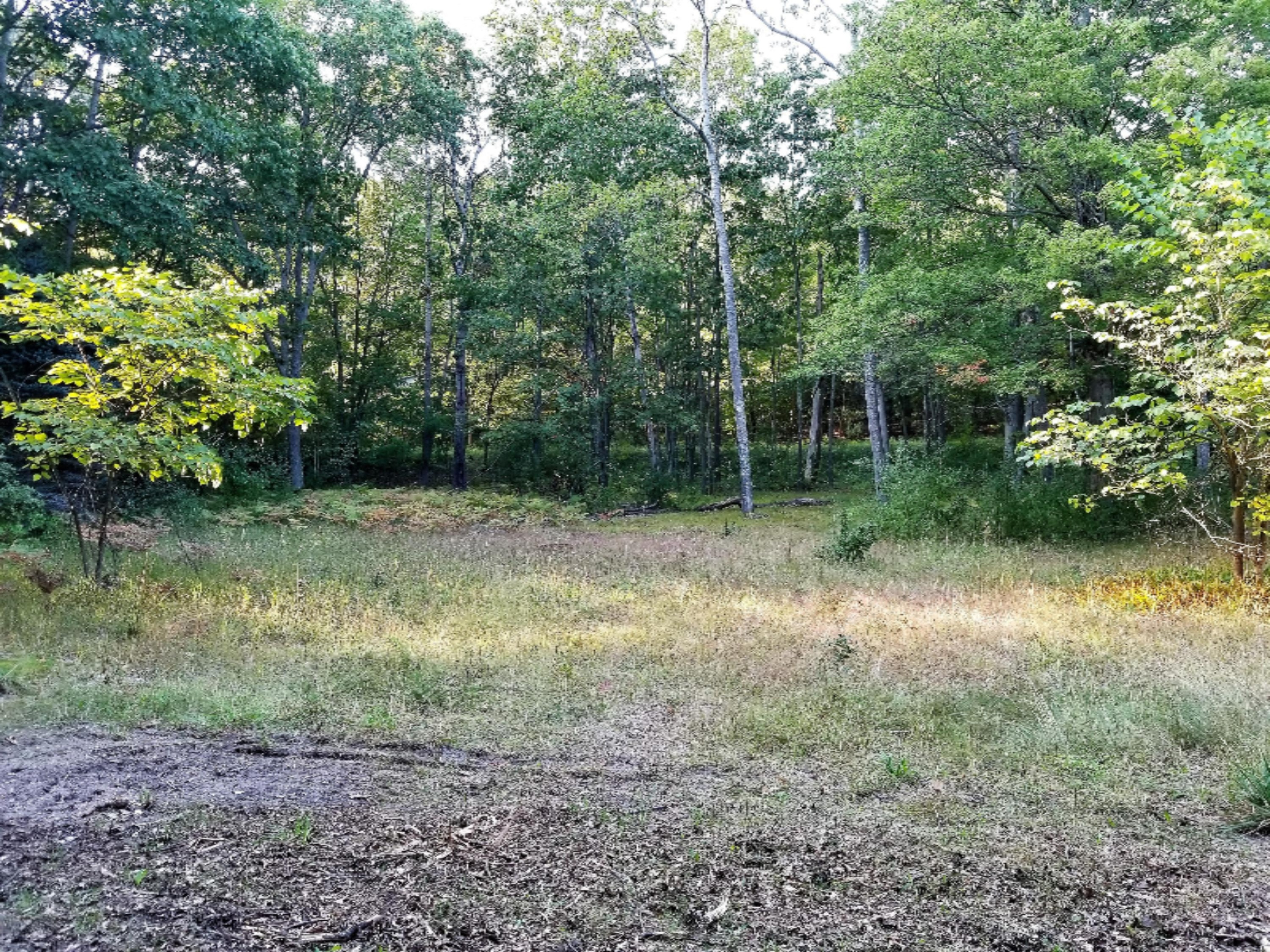 723 West Deer Run Road Free Soil, MI 49411 - Photo 8 of 12 Front yard