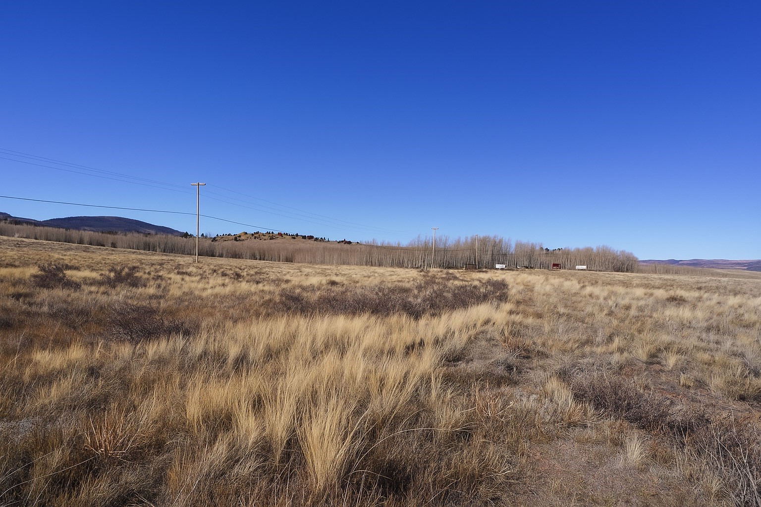 223 Breakneck Pass Road Fairplay, CO 80440 - Photo 9 of 23 Gallery Image 9