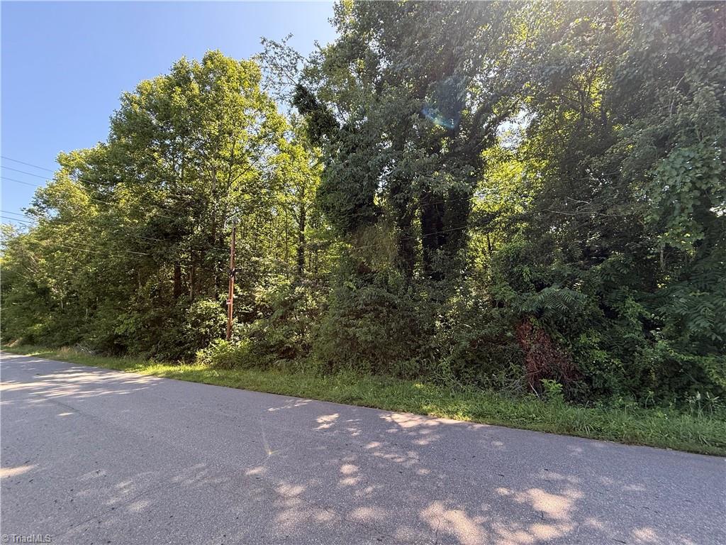 0 Price Street Madison, NC 27025 - Photo 4 of 7