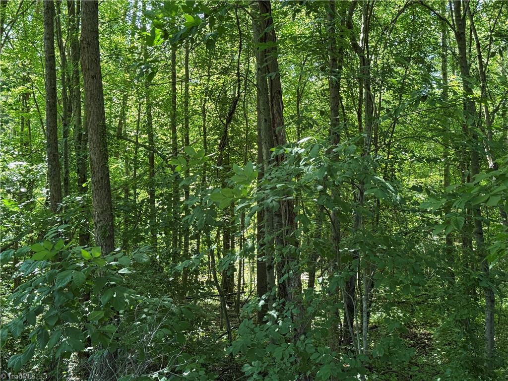 0 Price Street Madison, NC 27025 - Photo 6 of 7