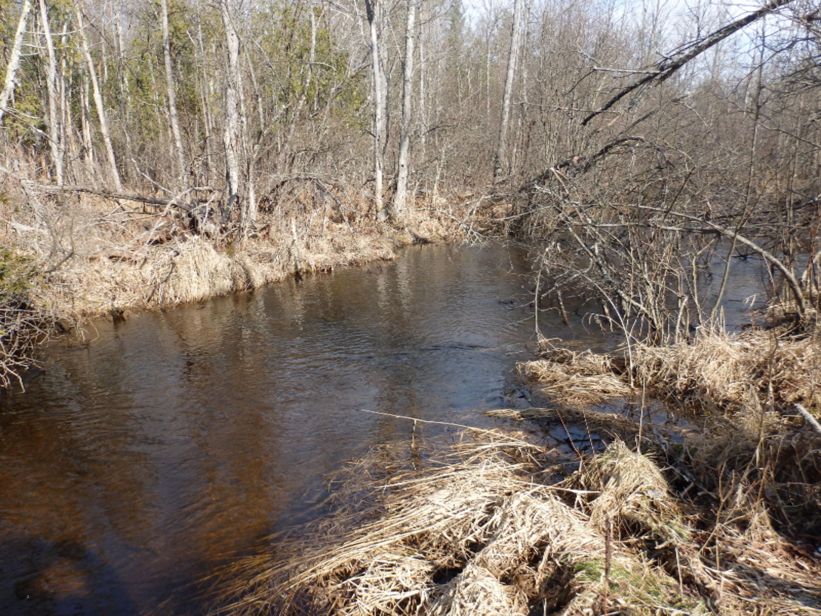 15312 9 Mile Road Kaleva, MI 49645 - Photo 2 of 54 P2220135