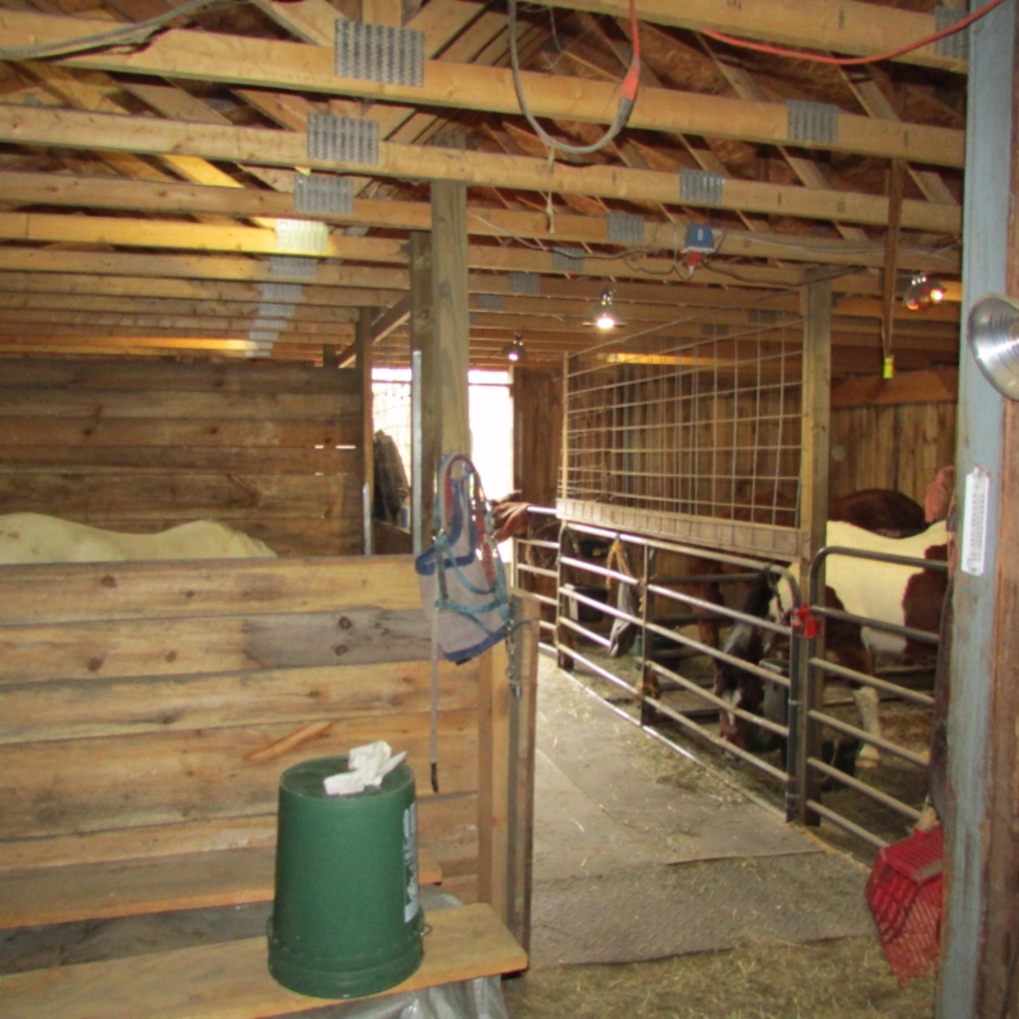 15312 9 Mile Road Kaleva, MI 49645 - Photo 26 of 54 IMG_0840