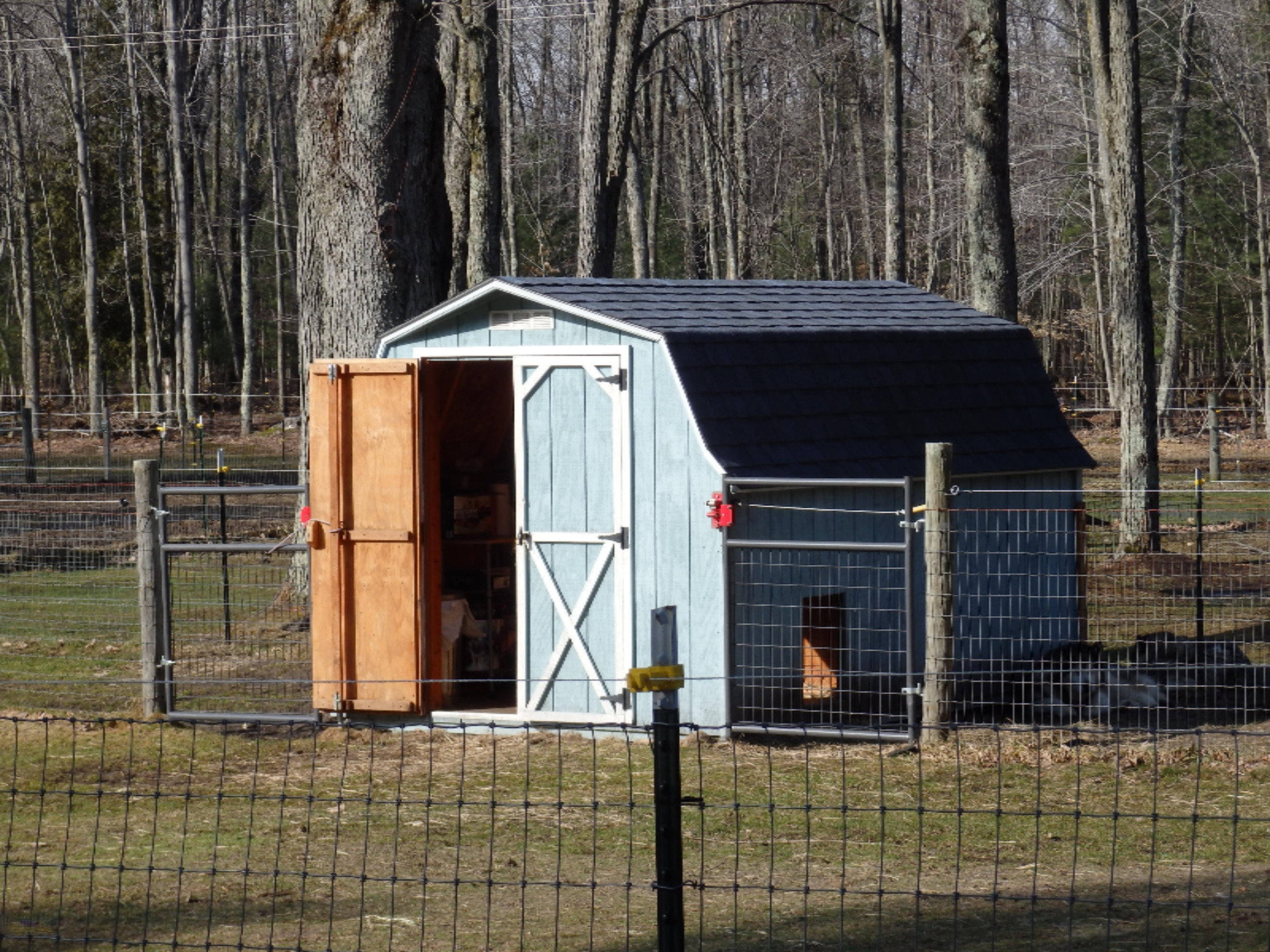 15312 9 Mile Road Kaleva, MI 49645 - Photo 28 of 54 dog kennel
