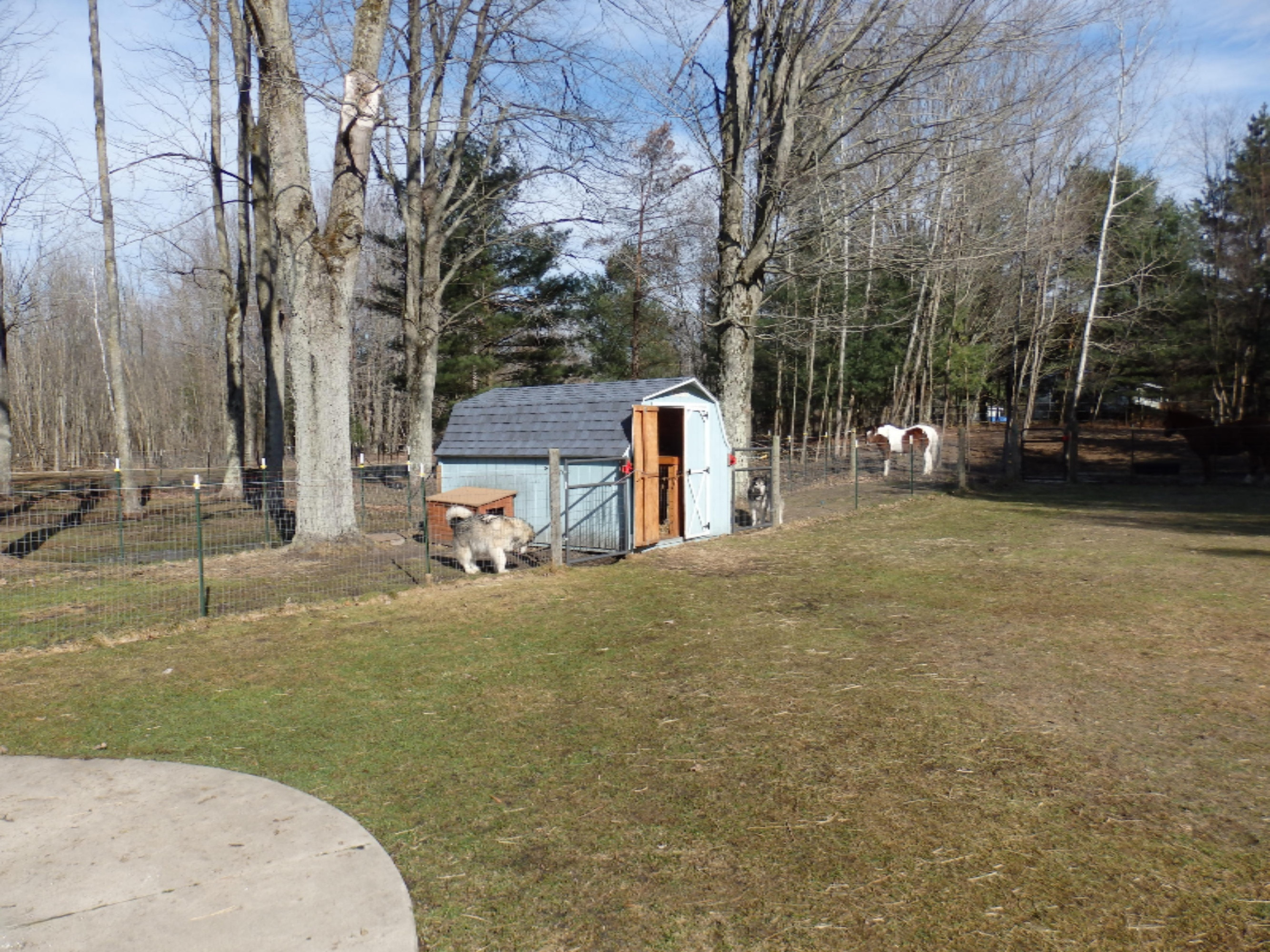 15312 9 Mile Road Kaleva, MI 49645 - Photo 30 of 54 P2220143