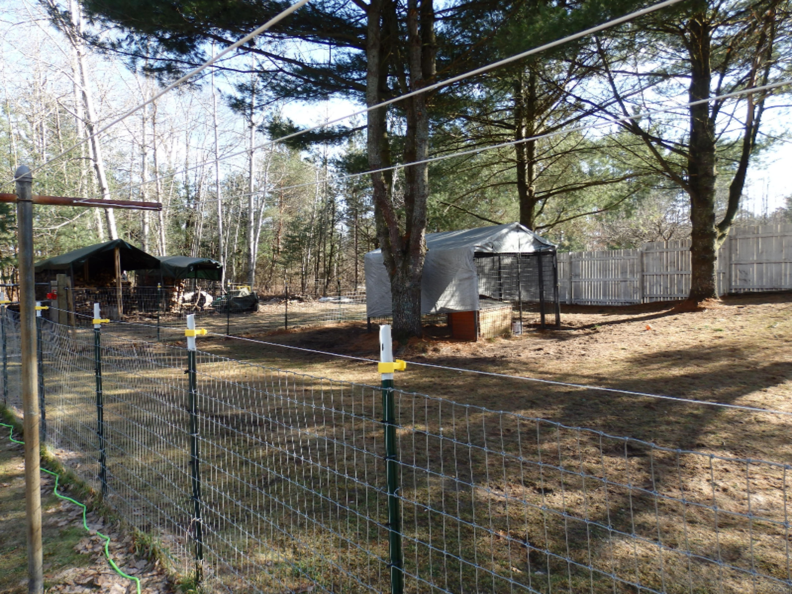 15312 9 Mile Road Kaleva, MI 49645 - Photo 31 of 54 P2220144