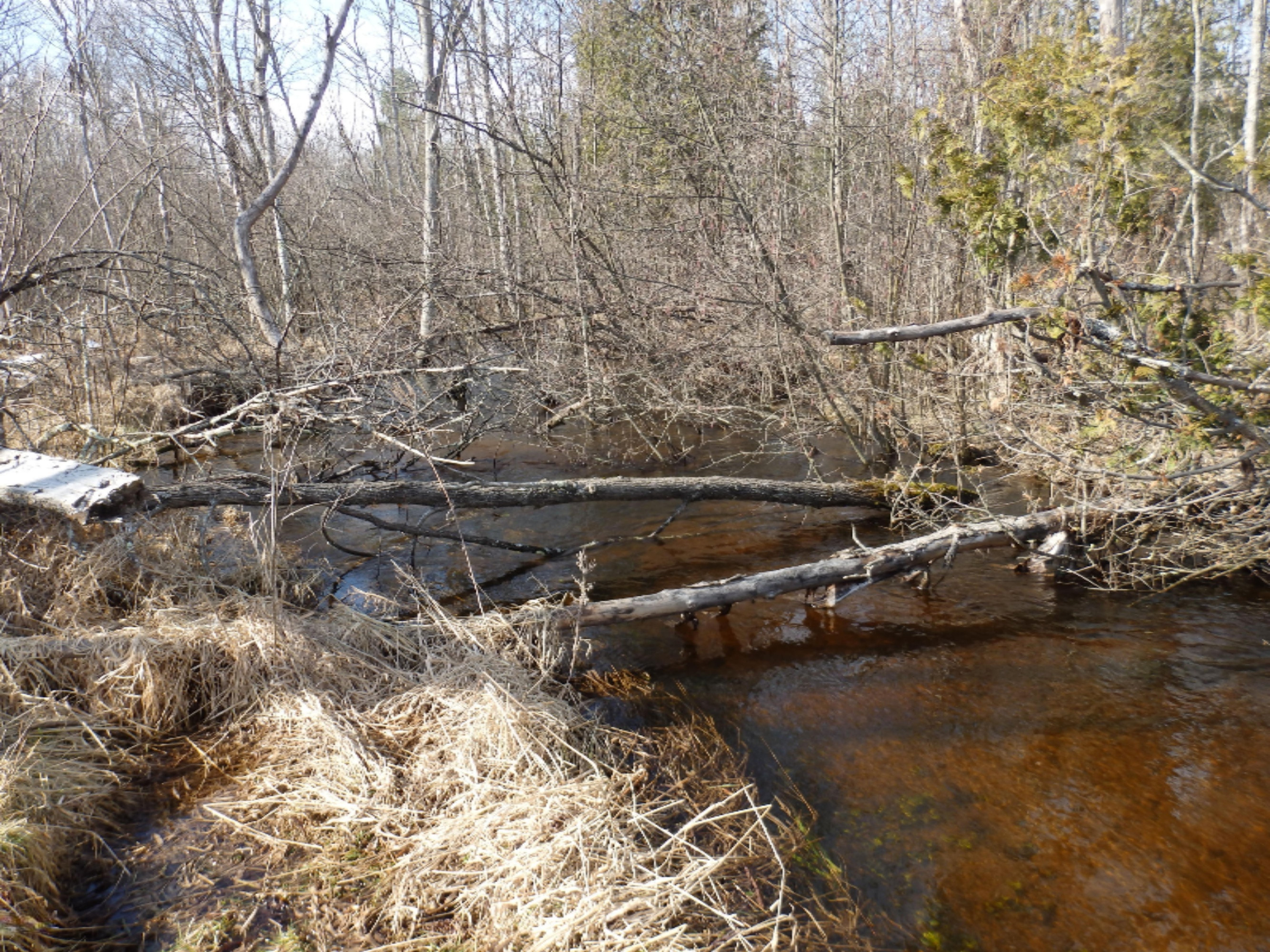 15312 9 Mile Road Kaleva, MI 49645 - Photo 41 of 54 P2220136