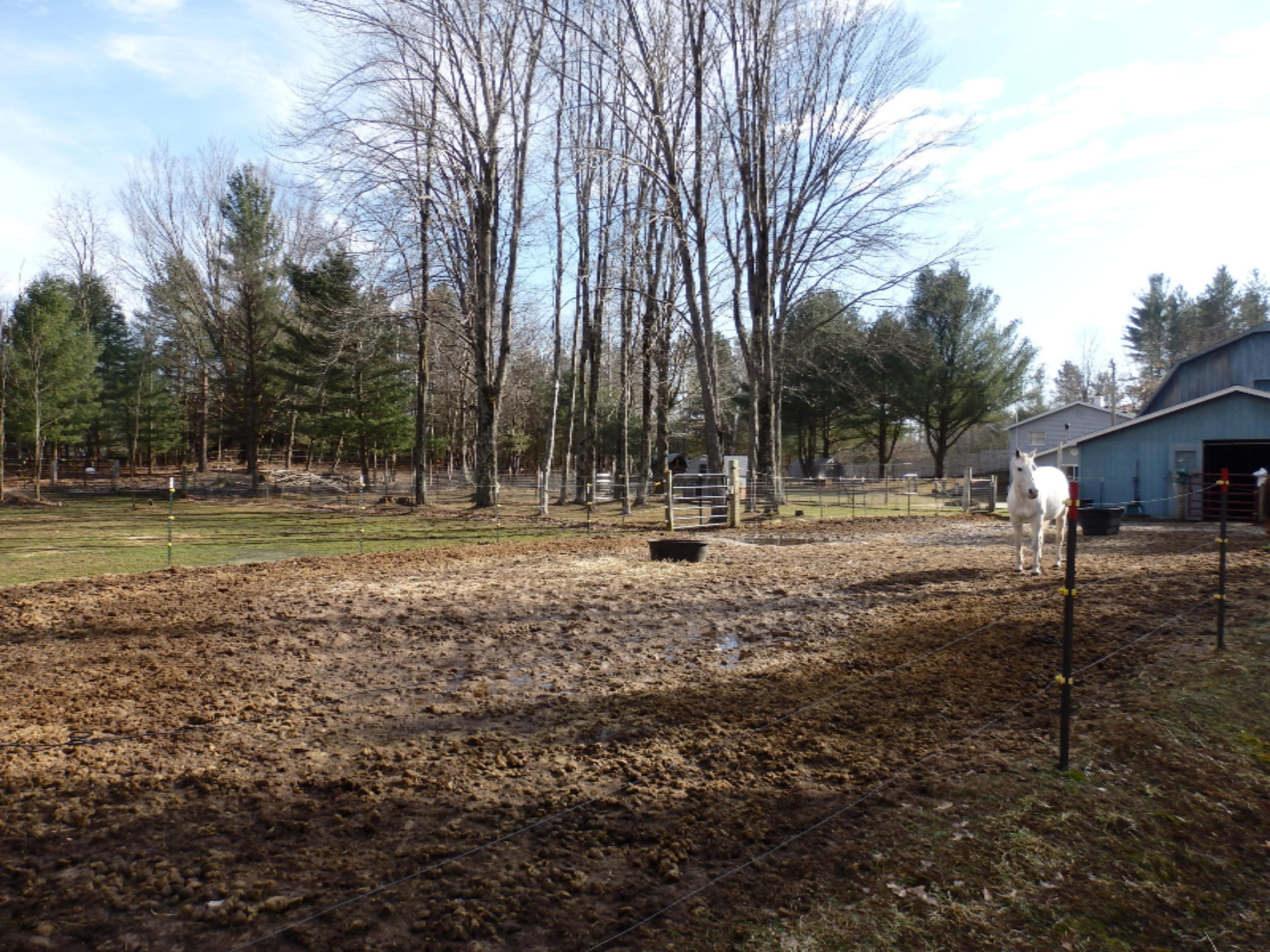 15312 9 Mile Road Kaleva, MI 49645 - Photo 42 of 54 P2220128