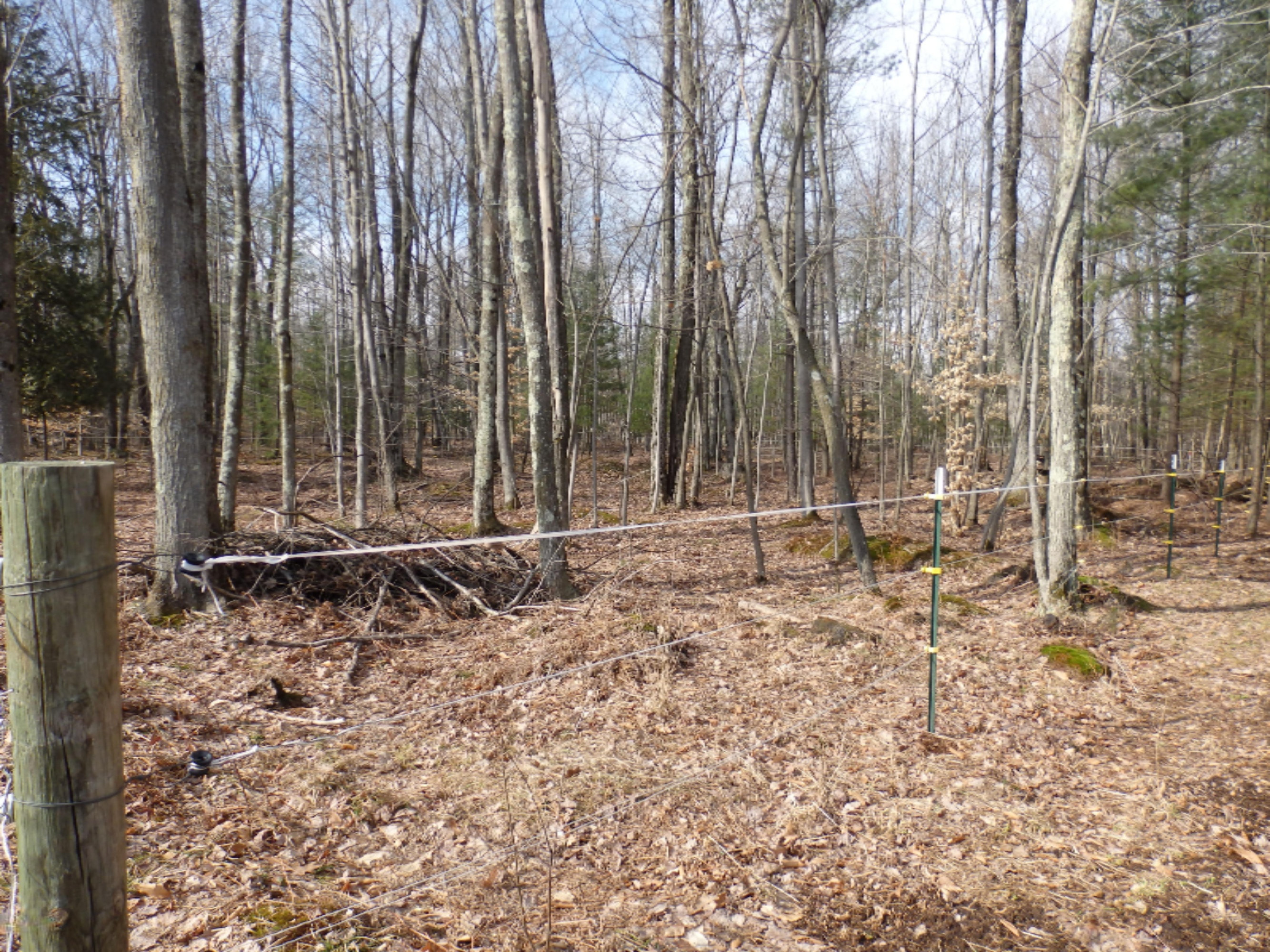 15312 9 Mile Road Kaleva, MI 49645 - Photo 44 of 54 P2220131