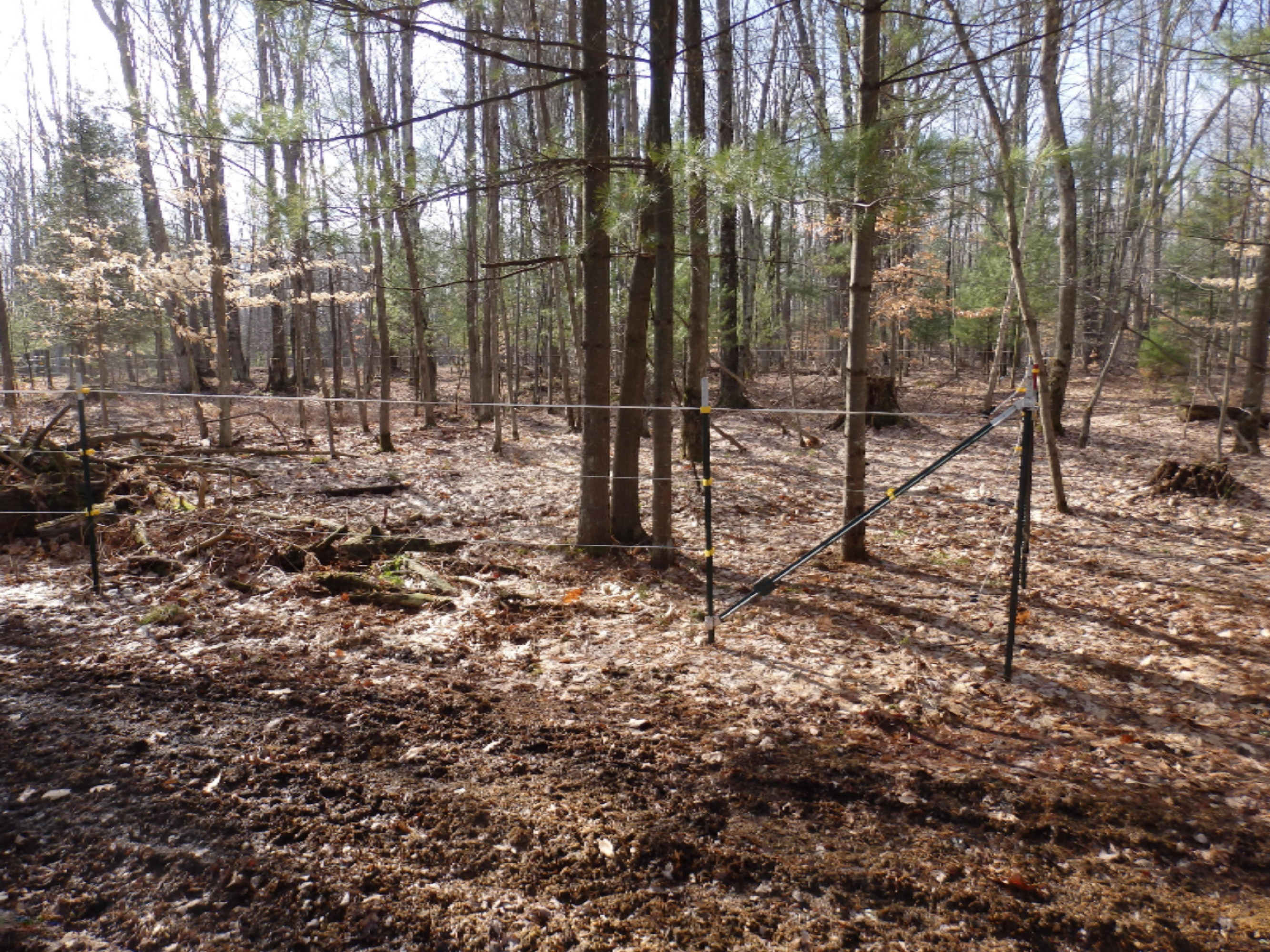 15312 9 Mile Road Kaleva, MI 49645 - Photo 46 of 54 P2220133