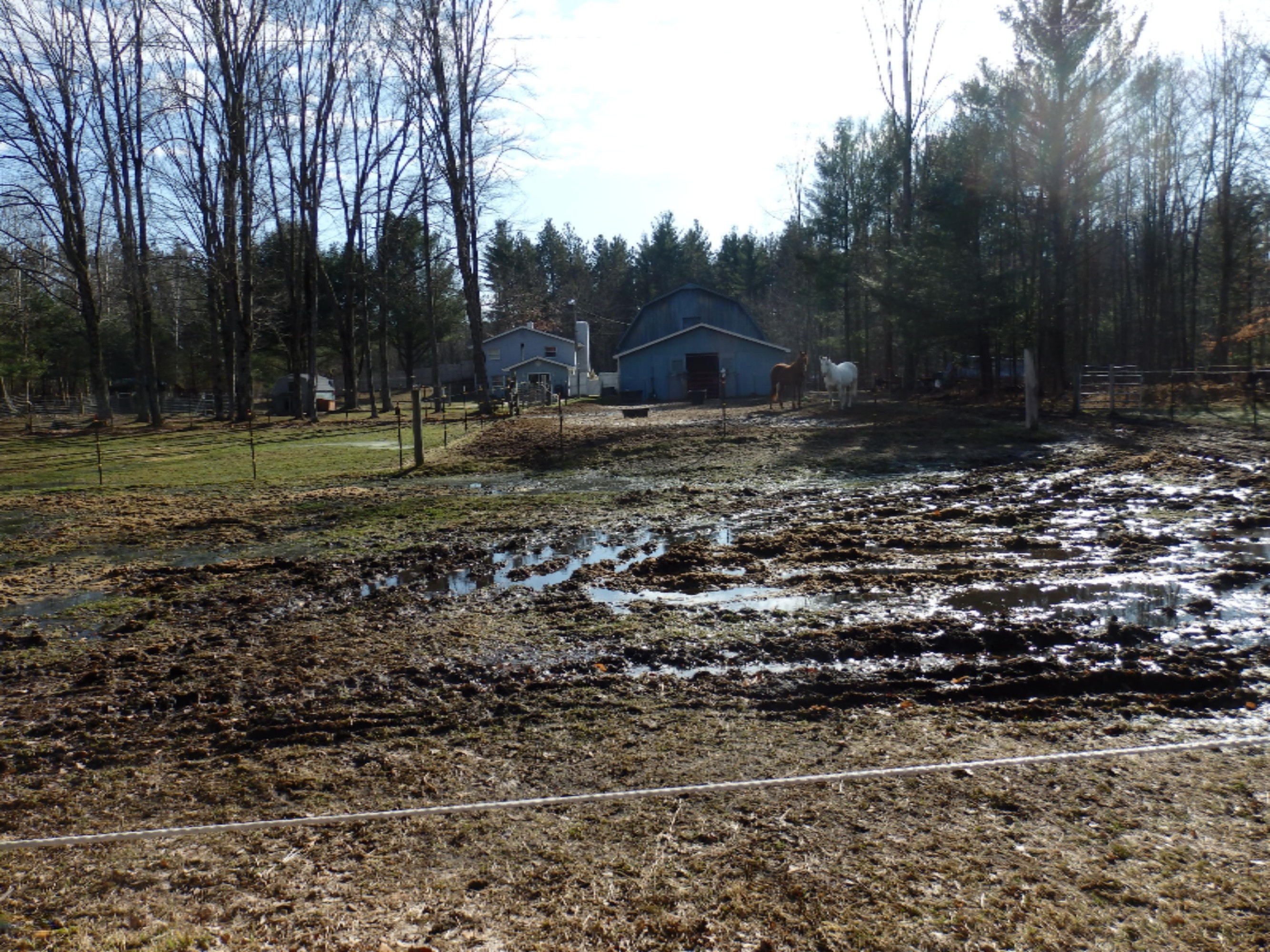 15312 9 Mile Road Kaleva, MI 49645 - Photo 47 of 54 P2220137