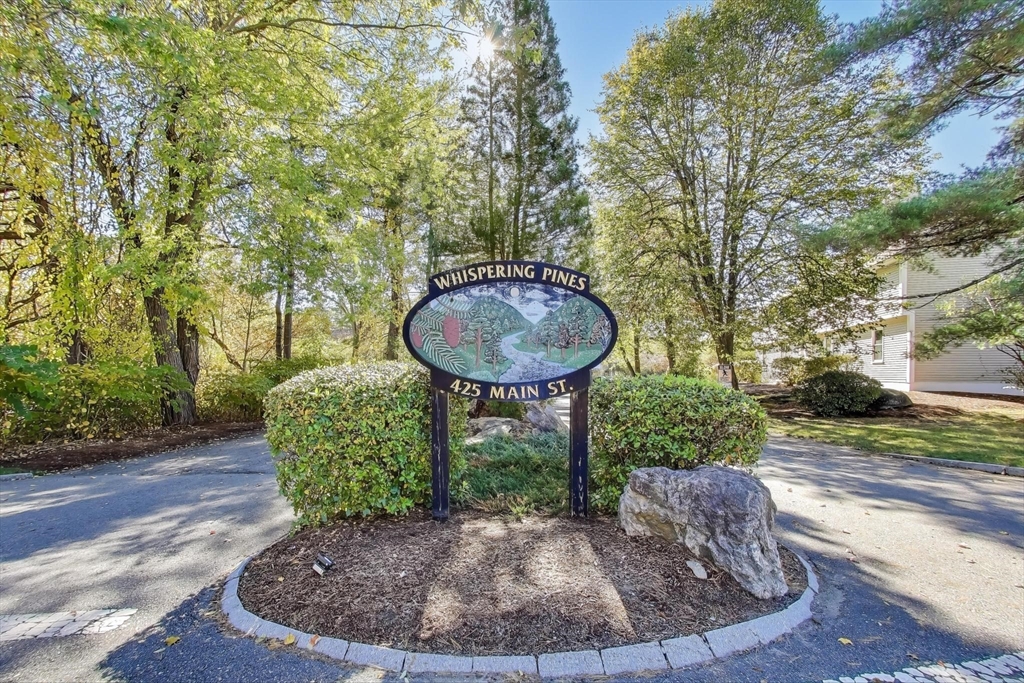 425 Main Street, Unit 11B Hudson, MA 01749 - Photo 25 of 26 a view of a backyard with a fountain