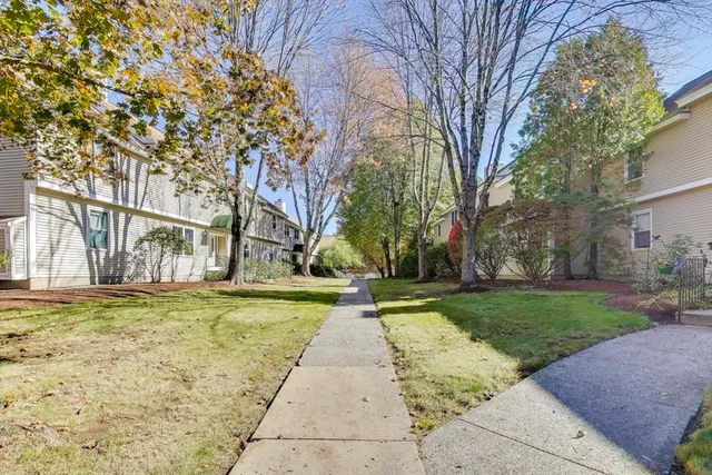 a view of a yard with flower plants