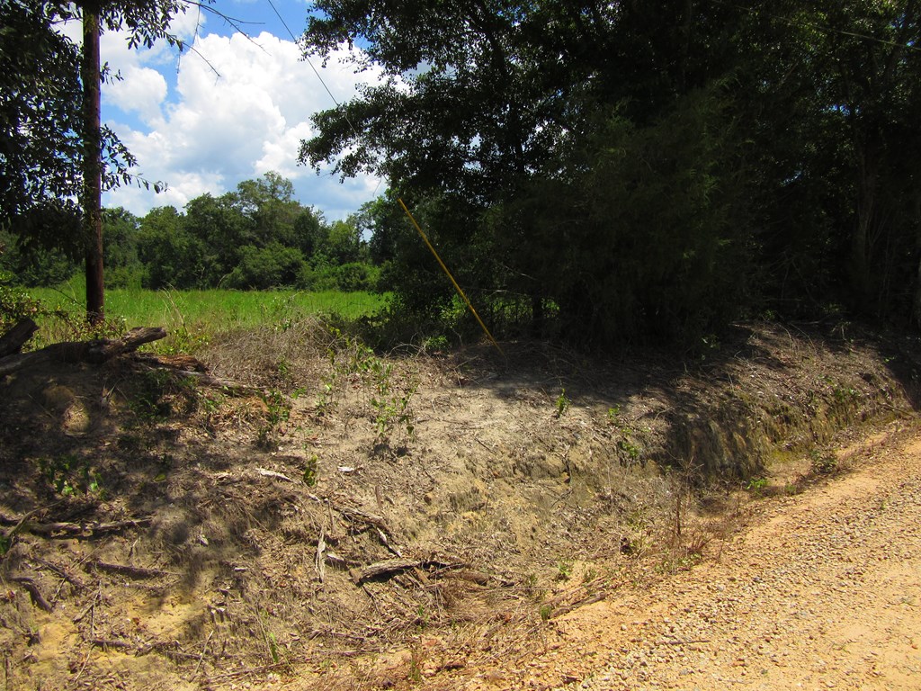 0 Eudon Best Road Ashford, AL 36312 - Photo 4 of 9 Gallery Image 4
