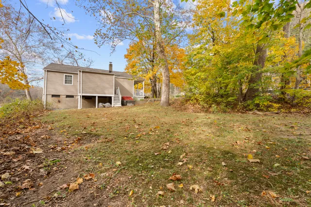 a view of a yard with plants and trees