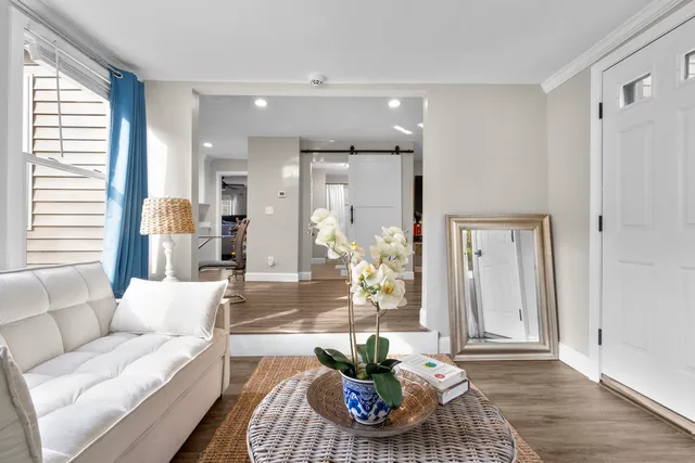 a living room with furniture and a potted plant