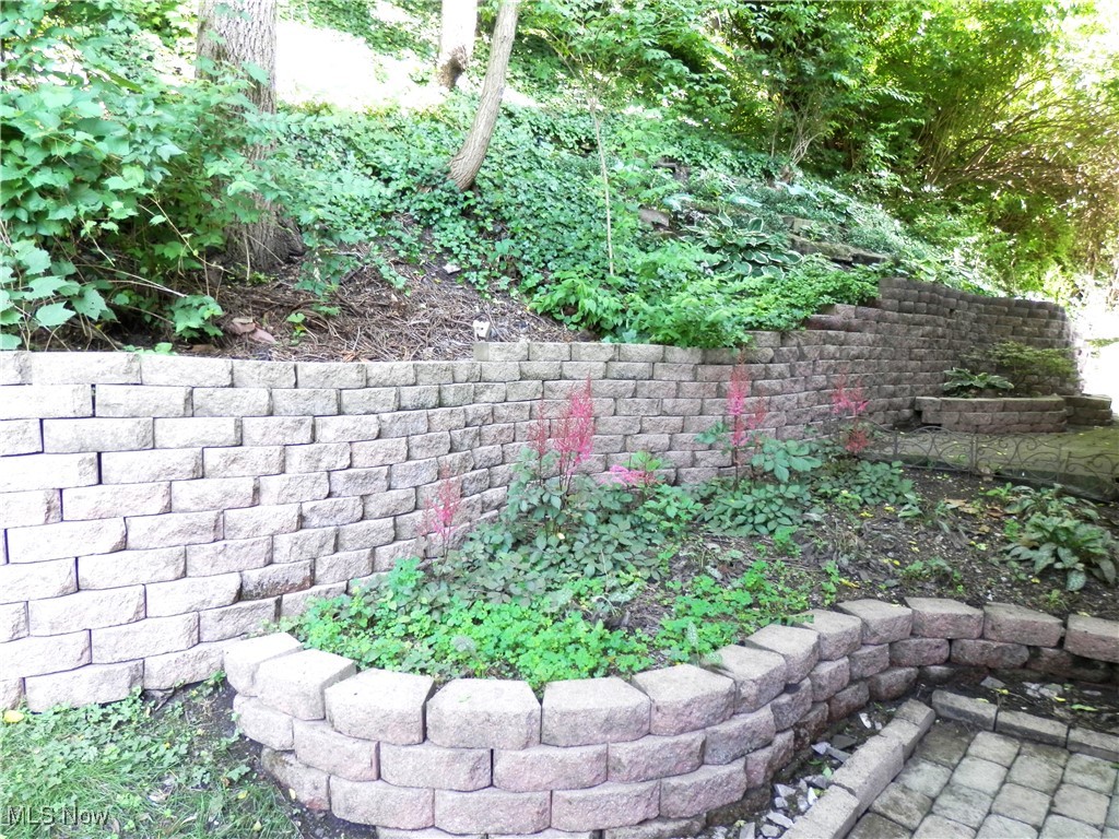 1949 Columbus Road Cleveland, OH 44113 - Photo 23 of 25 Rear yard and hill