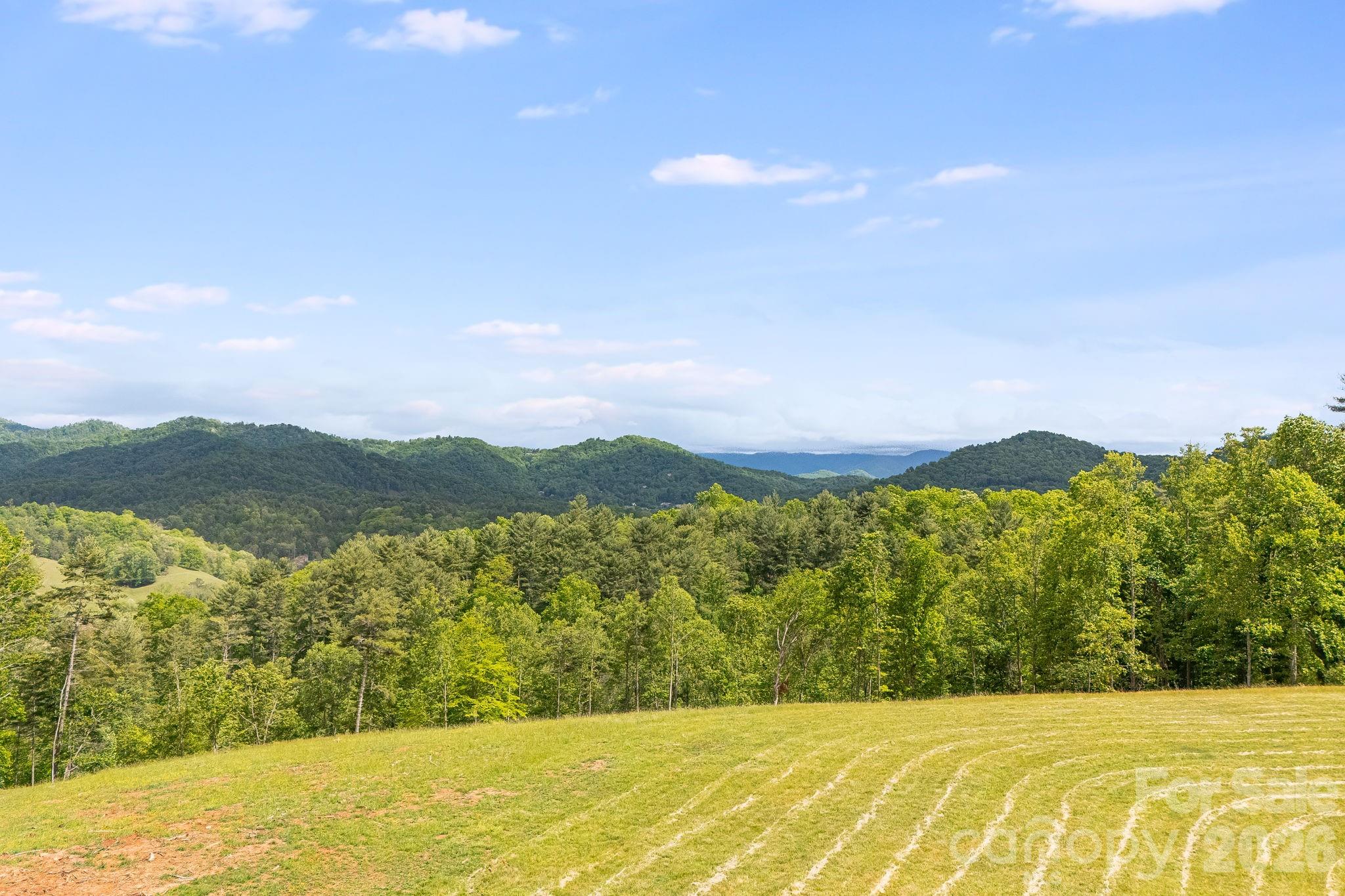Tbd California Creek Road Mars Hill, NC 28754 - Photo 4 of 28