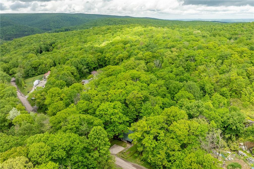 124 New Beaver Creek Road Markleysburg, PA 15459 - Photo 29 of 31 a view of yard with green space