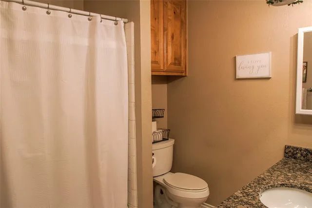 a white toilet sitting next to a shower curtain