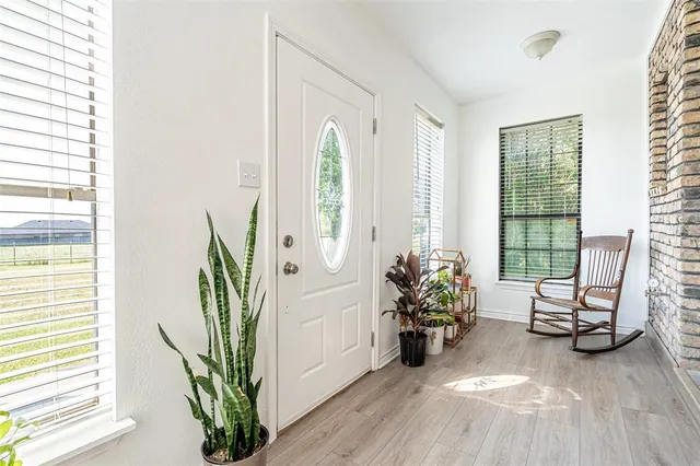 a living room filled with furniture and a potted plant