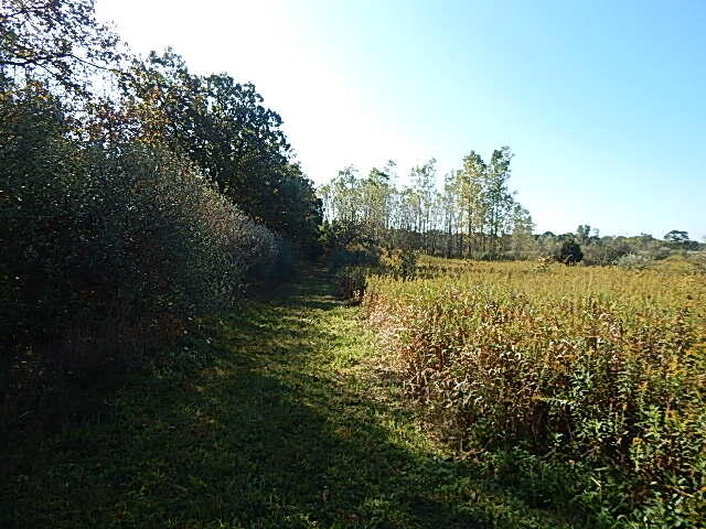 2857 Oakley Road Stockbridge, MI 49285 - Photo 24 of 27 DSCN1610