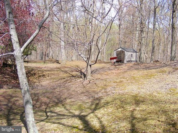 1485 Ebenezer Road Bluemont, VA 20135 - Photo 14 of 19 Shed