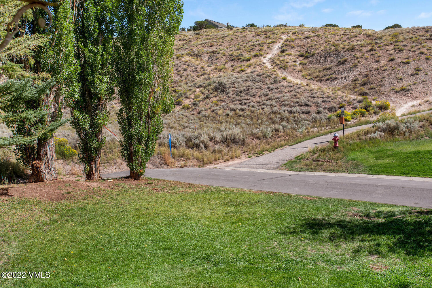 3 Canvas Back Eagle, CO 81631 - Photo 22 of 26 a view of a yard with an trees